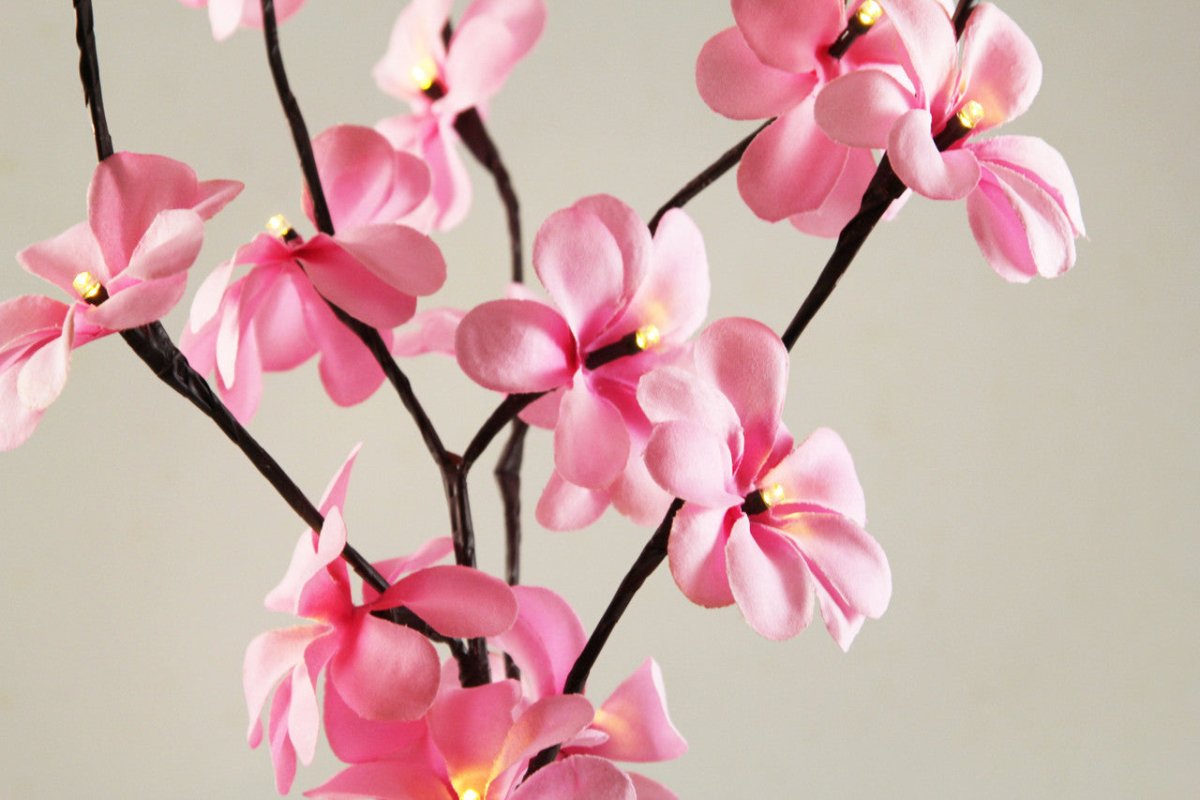 Set of 50cm H 20 LED Pink Frangipani Tree Branch Fairy Lights - Ideal for Wedding, Party, Table Decoration - Outdoorium