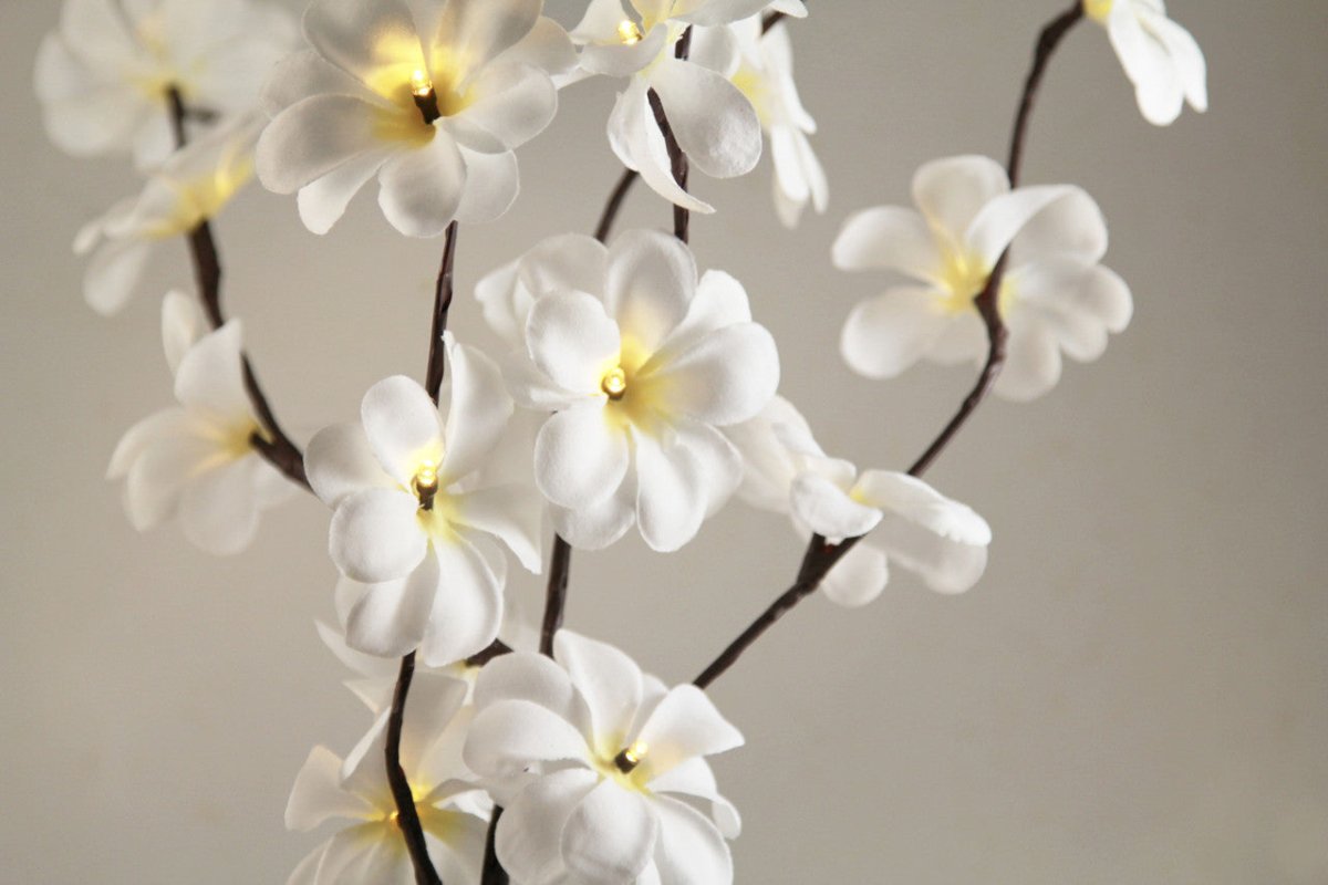 Set of 50cm H 20 LED White Frangipani Tree Branch Fairy Lights - Perfect for Wedding, Party, Table Decoration - Outdoorium