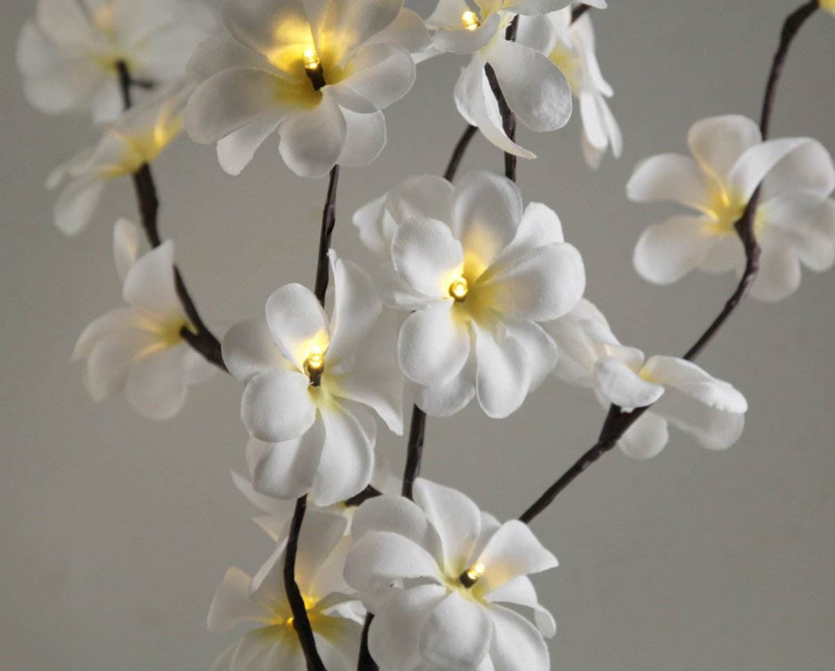 1 Set of 50cm H 20 LED White Frangipani Tree Branch Stem Fairy Light Wedding Event Party Function Table Vase Centrepiece Decoration - Outdoorium