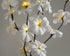1 Set of 50cm H 20 LED White Frangipani Tree Branch Stem Fairy Light Wedding Event Party Function Table Vase Centrepiece Decoration - Outdoorium