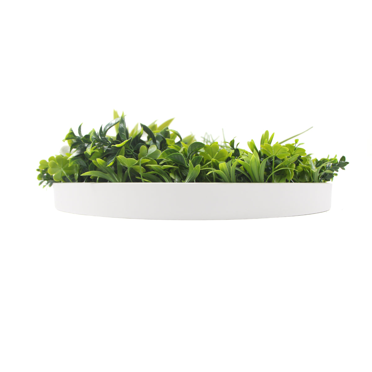 Flowering White Artificial Green Wall Disc UV Resistant 75cm (White Frame) - Outdoorium