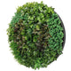 Artificial Green Wall Disk Art 150cm - Dense Green Sensation - Black Frame | Outdoorium