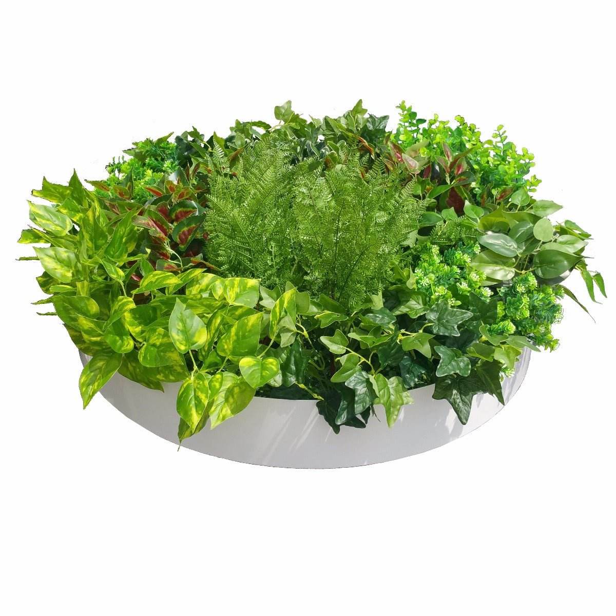 Artificial Green Wall Disk Art 80cm - Mixed Fern - Outdoorium