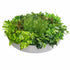 Artificial Green Wall Disk Art 80cm - Mixed Fern - Outdoorium