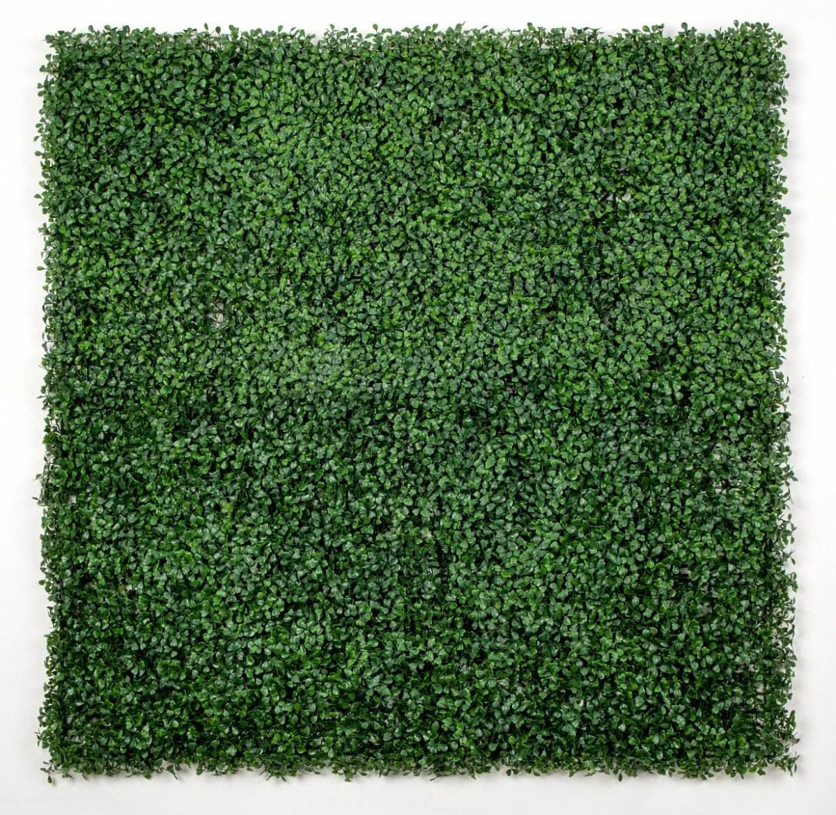 Box Wood Screens / Panels UV Stabilised 1m X 1m - Outdoorium