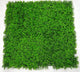 Deluxe Buxus Panels UV Stabilised 1m X 1m - Outdoorium