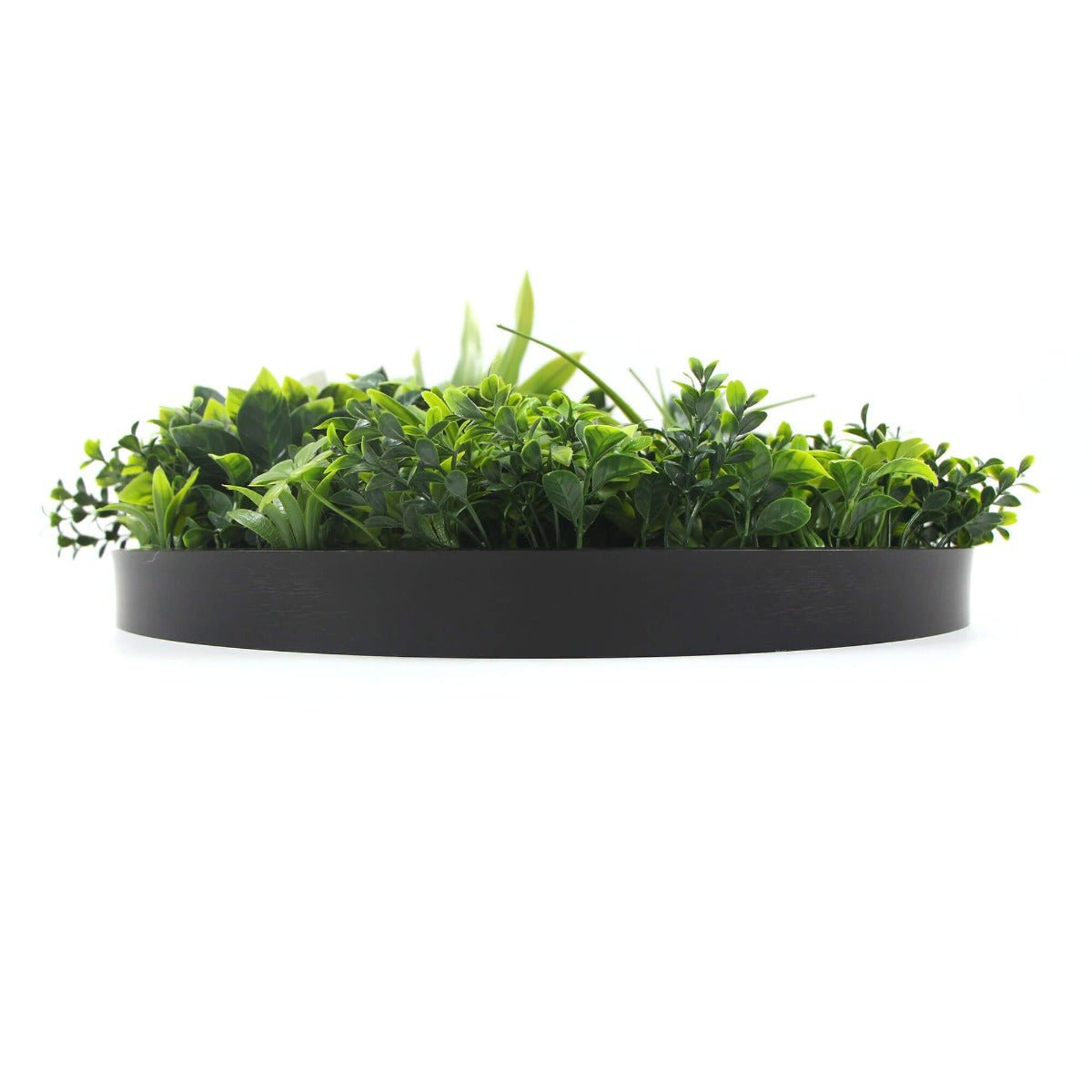 Flowering White Artificial Green Wall Disc UV Resistant 50cm (Black Frame) - Outdoorium