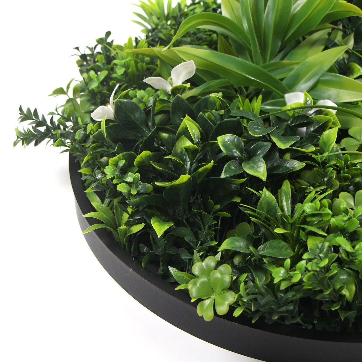 Flowering White Artificial Green Wall Disc UV Resistant 75cm (Black Frame) - Outdoorium