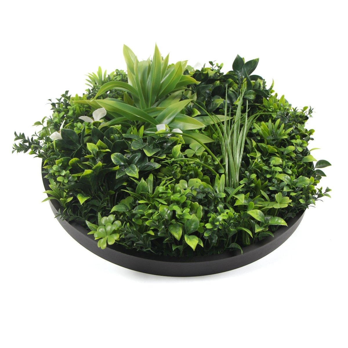 Flowering White Artificial Green Wall Disc UV Resistant 75cm (Black Frame) - Outdoorium