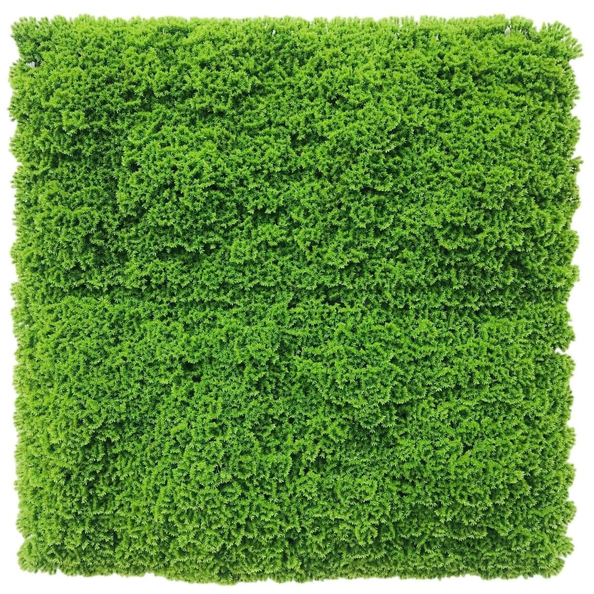 Fresh Natural Green Artificial Moss / Green Wall UV Resistant 1m x 1m - Outdoorium