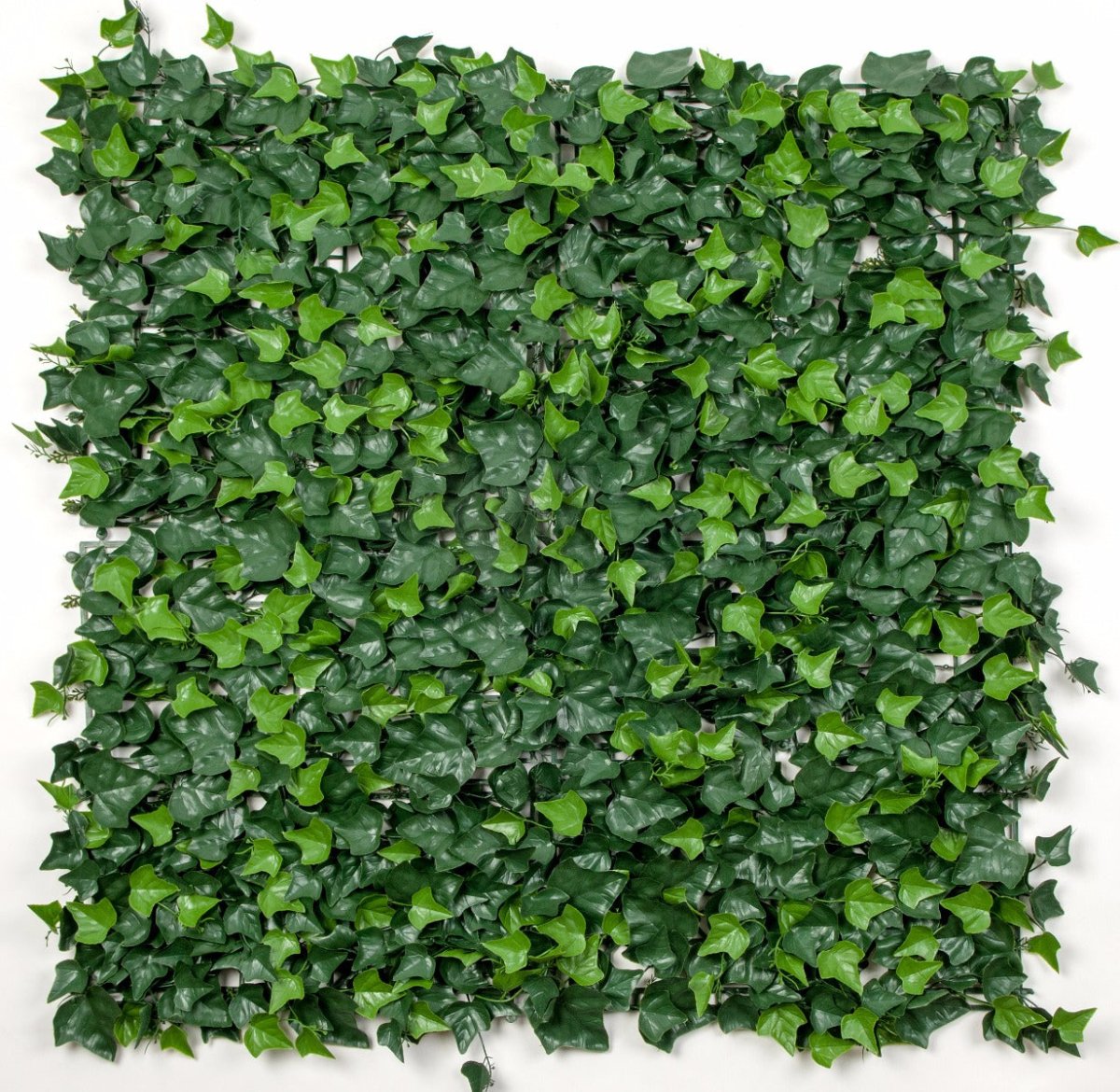Ivy Leaf Screens / Panels UV Stabilised 1m X 1m - Outdoorium