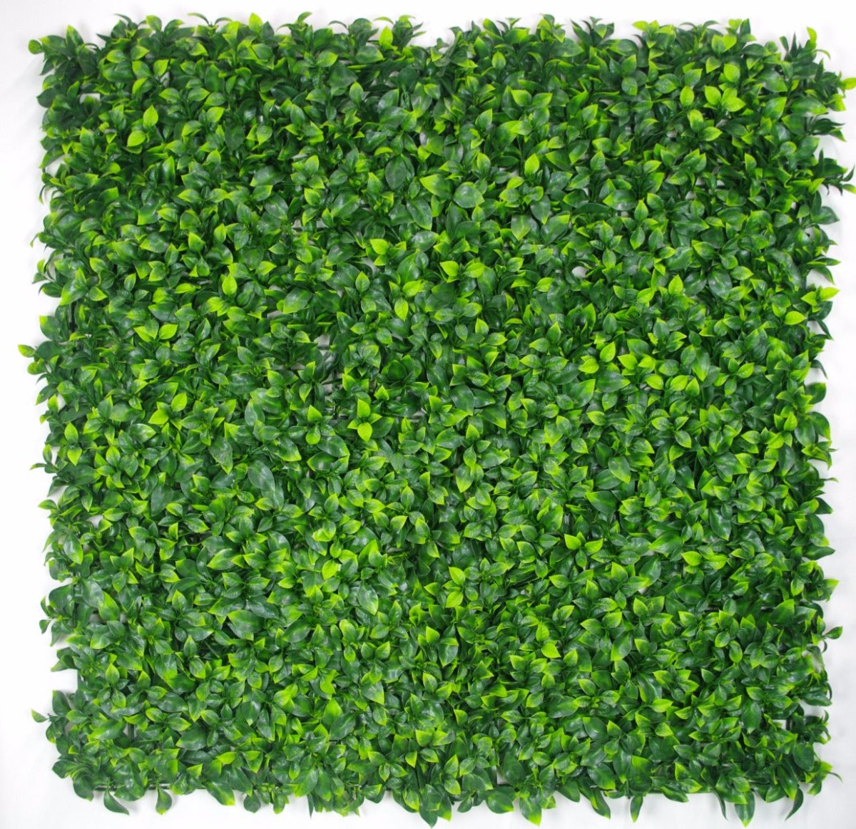 Jasmine Leaf Screens / Panels UV Stabilised 1m X 1m - Outdoorium
