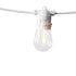 86M LED Festoon Light Outdoor String Light - Outdoorium