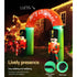 Jingle Jollys Christmas Inflatable Archwary Nutcracker 3M Illuminated Decorations - Outdoorium
