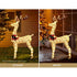 1.5M Christmas Lights Reindeer 100 LED Decorations Jingle Jollys | Outdoorium