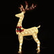 1.5M Christmas Lights Reindeer 100 LED Decorations Jingle Jollys | Occasions > Christmas | Jingle Jollys | Outdooriumifoption1 | endififoption2 | endififoption3 | endif | 1