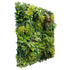 Lush Spring Vertical Garden / Green Wall UV Resistant 100cm x 100cm - Outdoorium