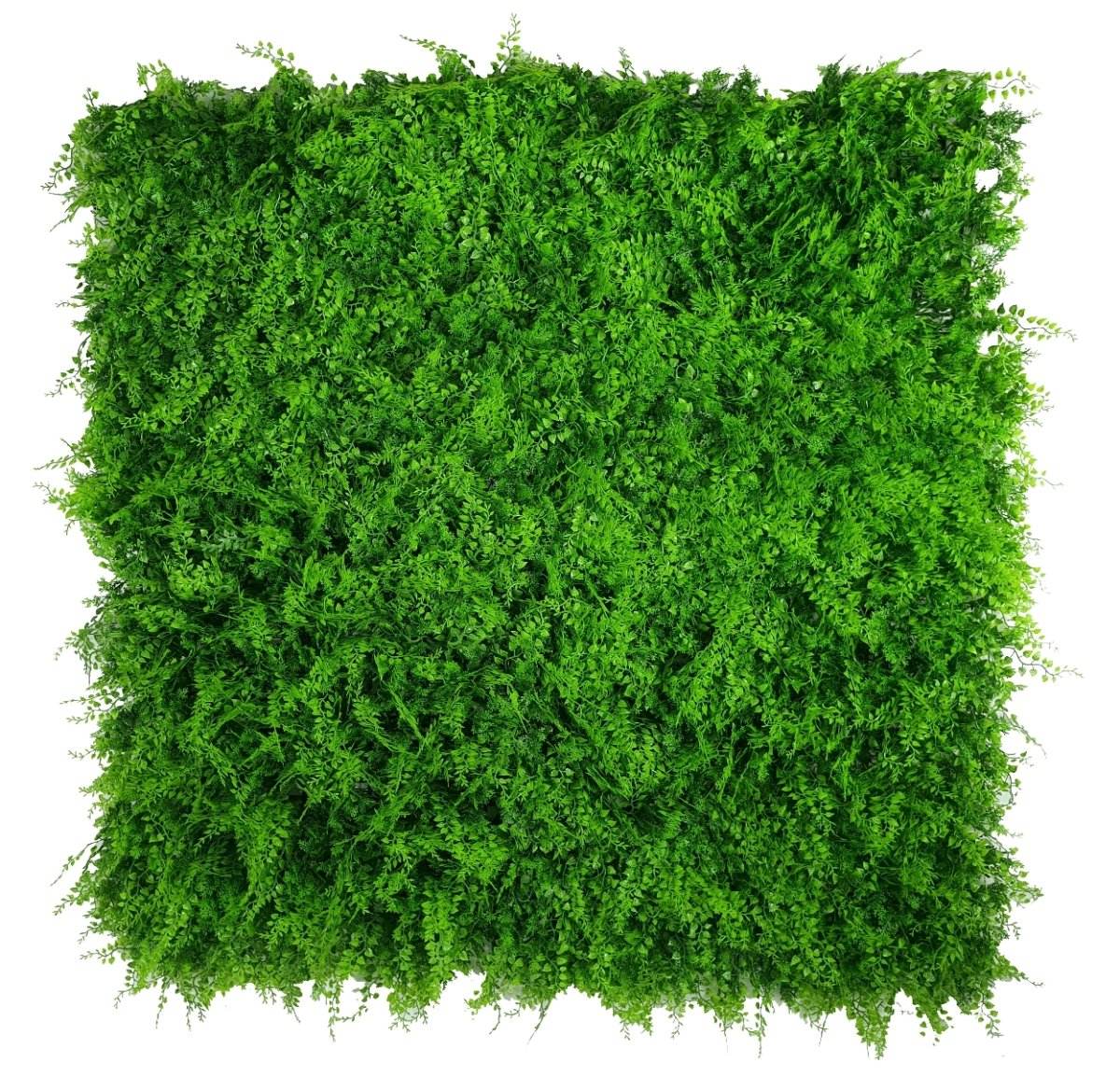 Mediterranean Fern Vertical Garden UV Stabilised 1m X 1m - Outdoorium