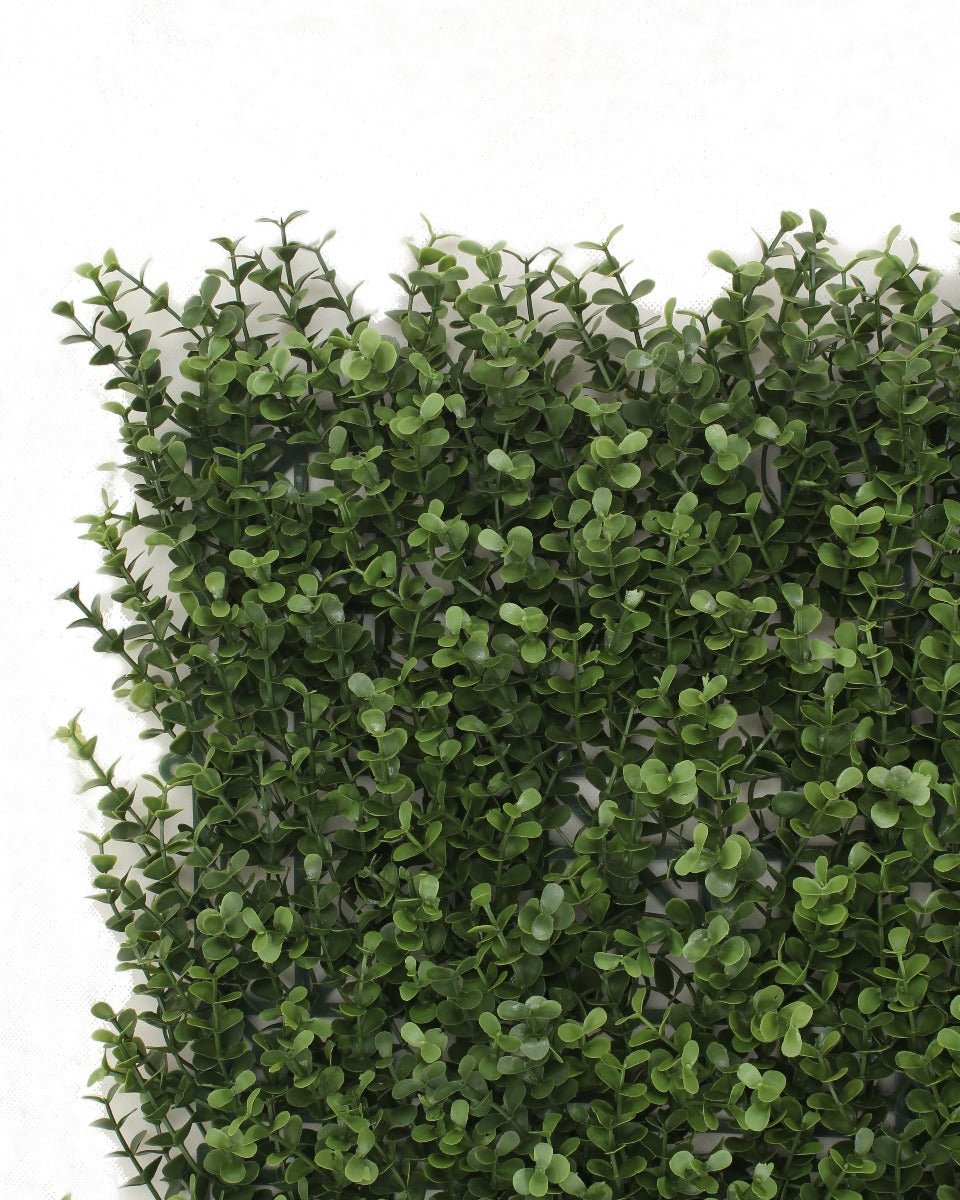Premium Natural Buxus Hedge Panels UV Resistant 1m x 1m - Outdoorium