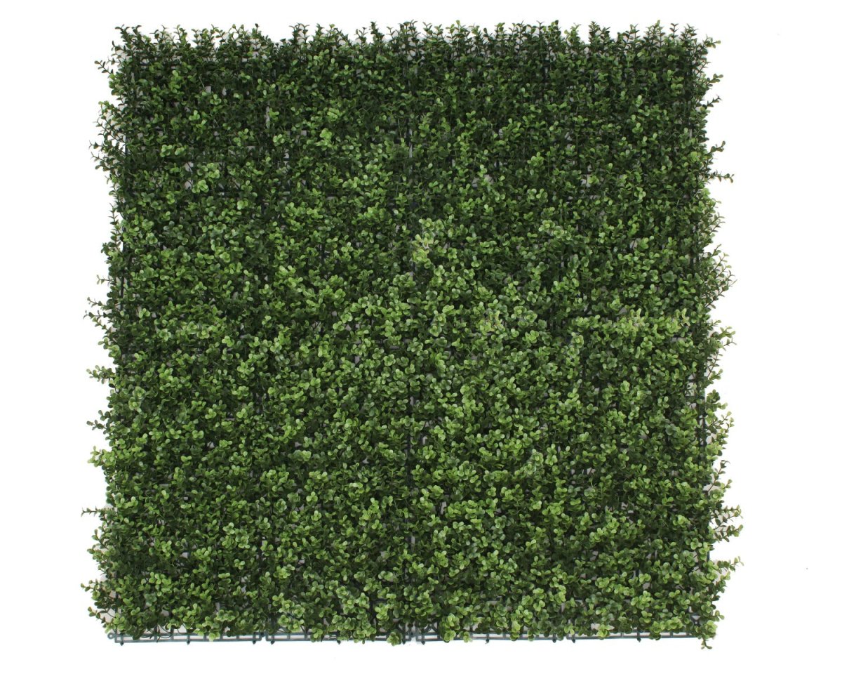 Premium Natural Buxus Hedge Panels UV Resistant 1m x 1m - Outdoorium