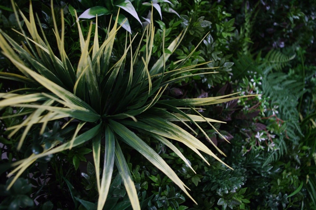 UV Stabilized Green Forest Select Range Vertical Garden 100cm X 100cm - Outdoorium